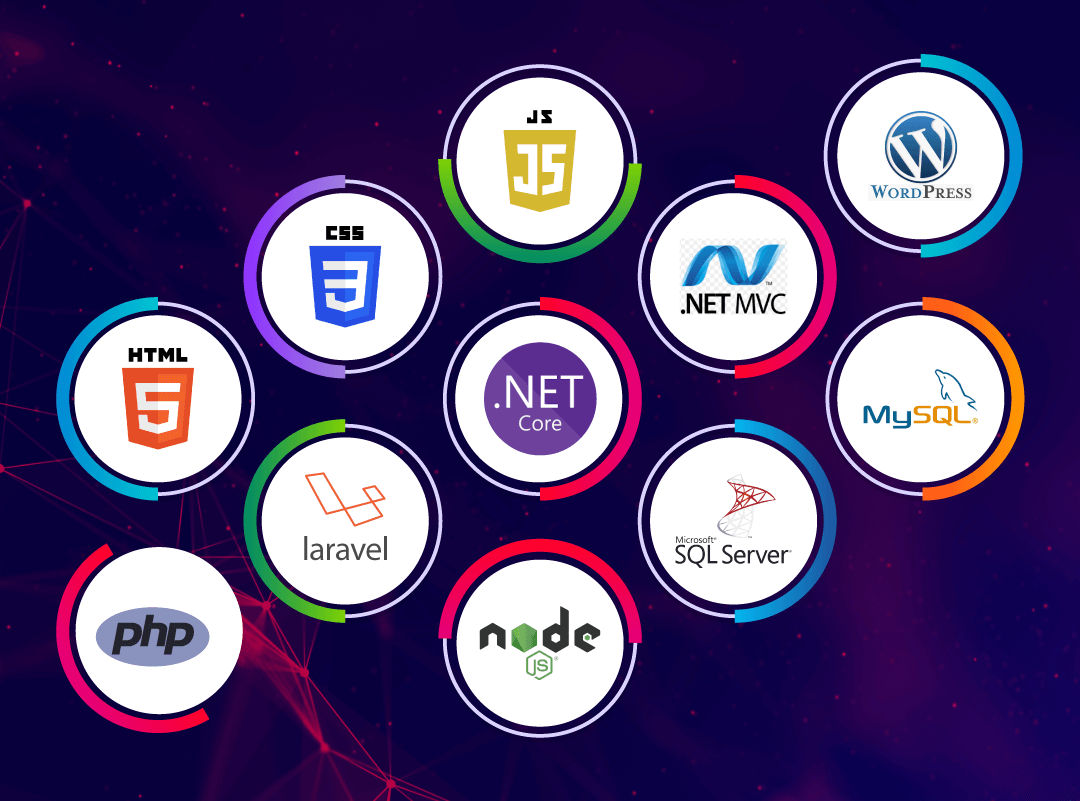 Dynamic & Responsive Website & Application Development